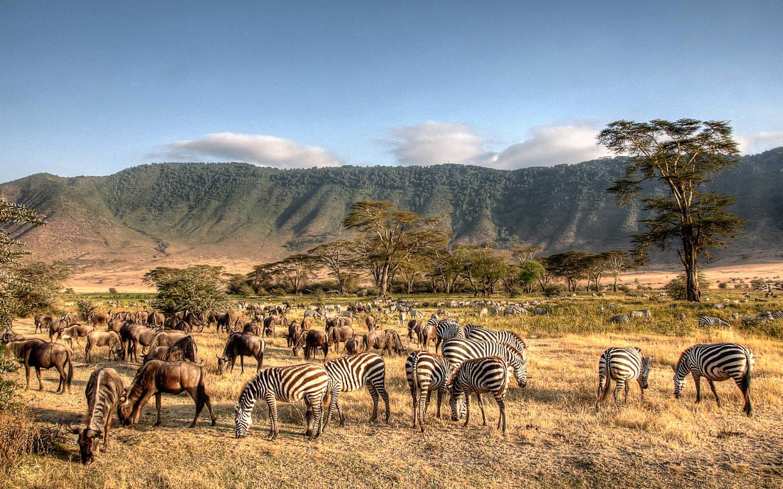 Ngorongoro Crater in Tanzania